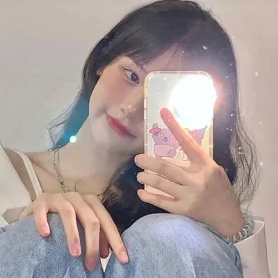 棕榈树森林